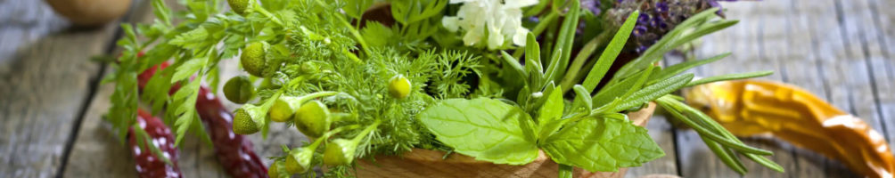 Fotolia_52732706_Subscription_Monthly_M (1)