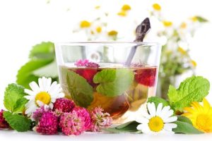 The Bible Condemnation of Drugs