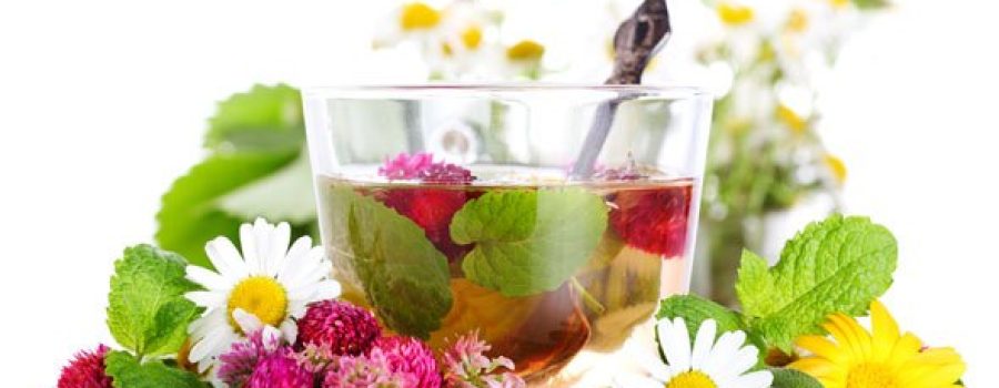 The Bible Condemnation of Drugs