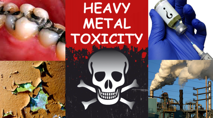 Ways Heavy Metal Affect The Body